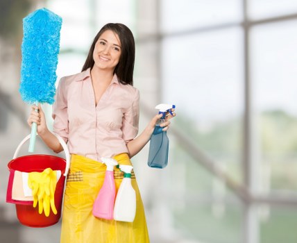 Deep cleaning process for pet odour elimination