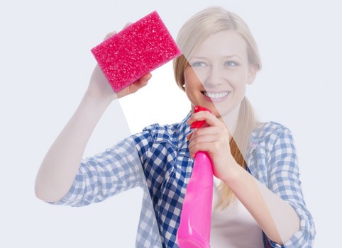 Insurance and protection concept for professional carpet cleaners