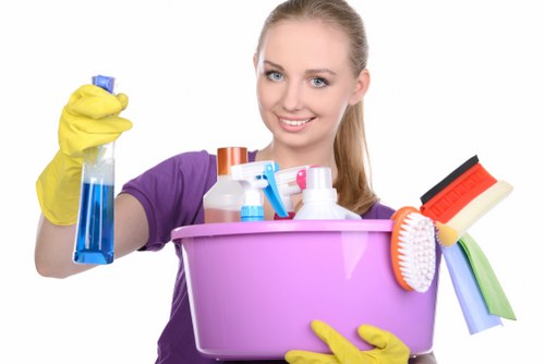 Deep carpet stain removal service in Westcombe Park