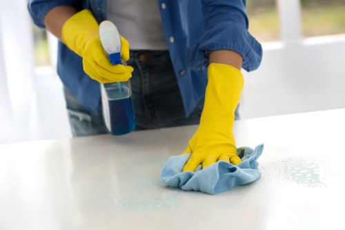 User adjusting cookie preferences for a carpet cleaning website