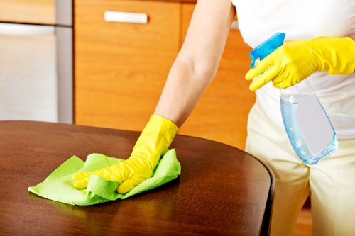 Stain removal and deep carpet cleaning in Westcombe Park